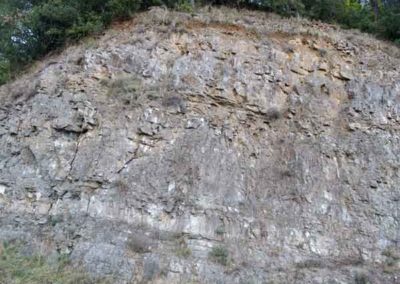 Calcaire massif de l'hettangien L1-L2