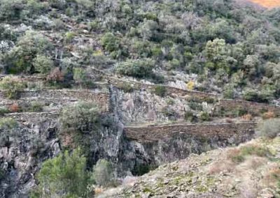 Système de terrasses restaurées le long d'un cours d'eau - Vallée de la Ganière - Brahic - Ardèche