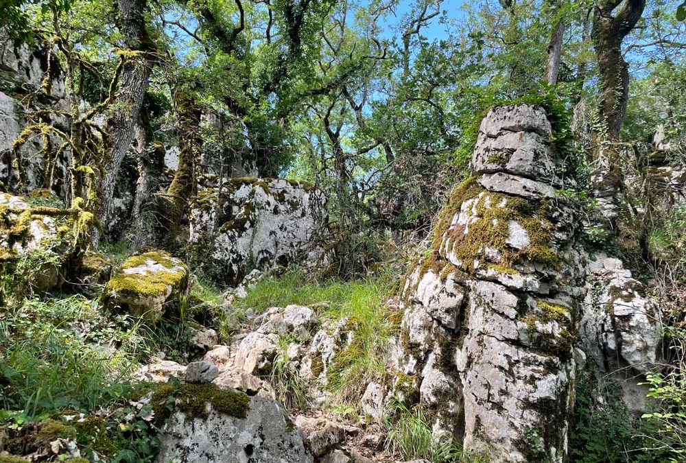 L’homme de Néandertal dans les gorges du Chassezac