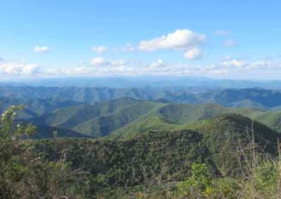 Vue vers le Nord depuis le col de l'Homme mort sur la draille vers l'Aigoual.